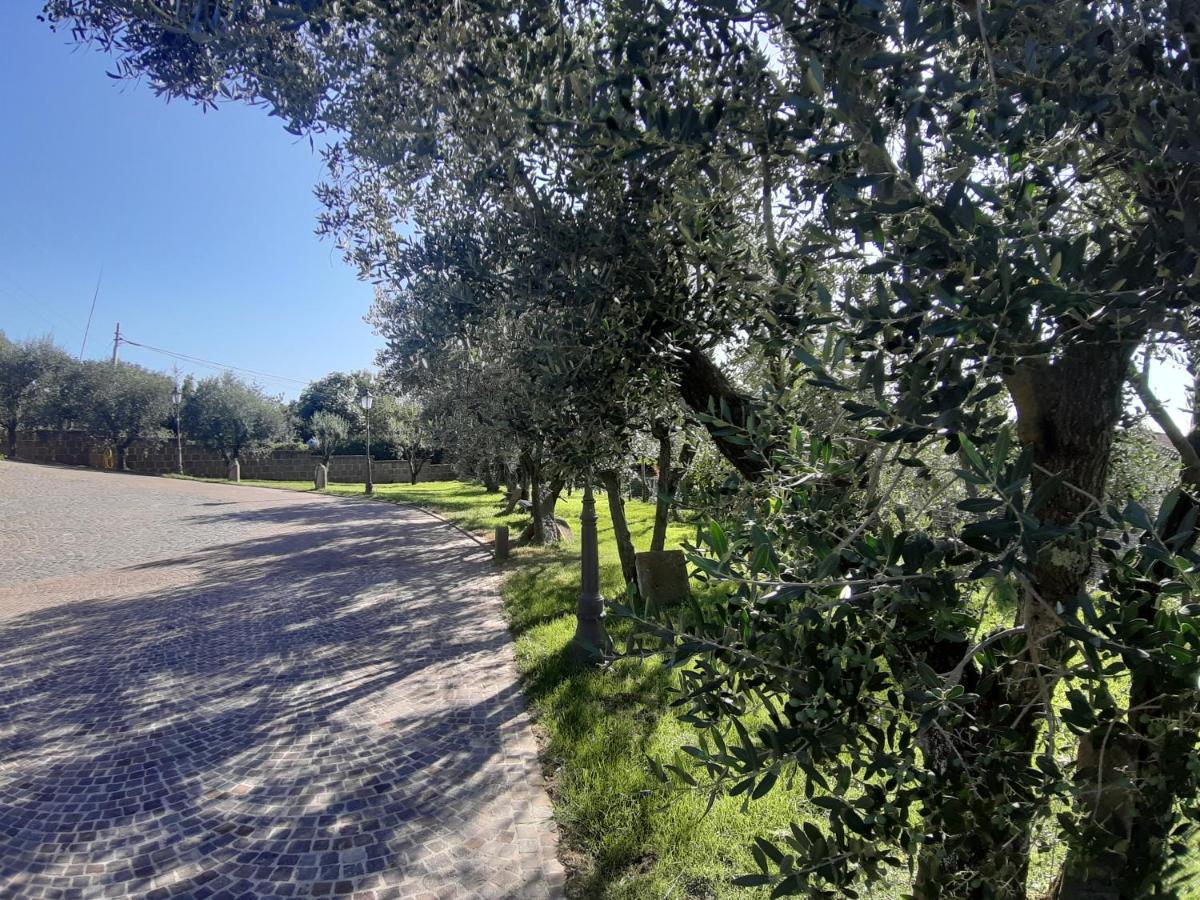 B&B Le Bacette Caprarola Luaran gambar